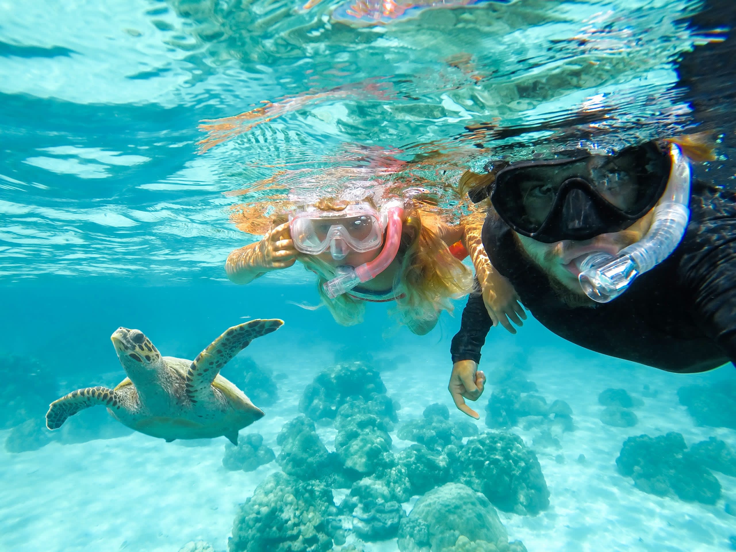 Father,And,Daughter,Are,Snorkeling,Next,To,A,Beautiful,Sea